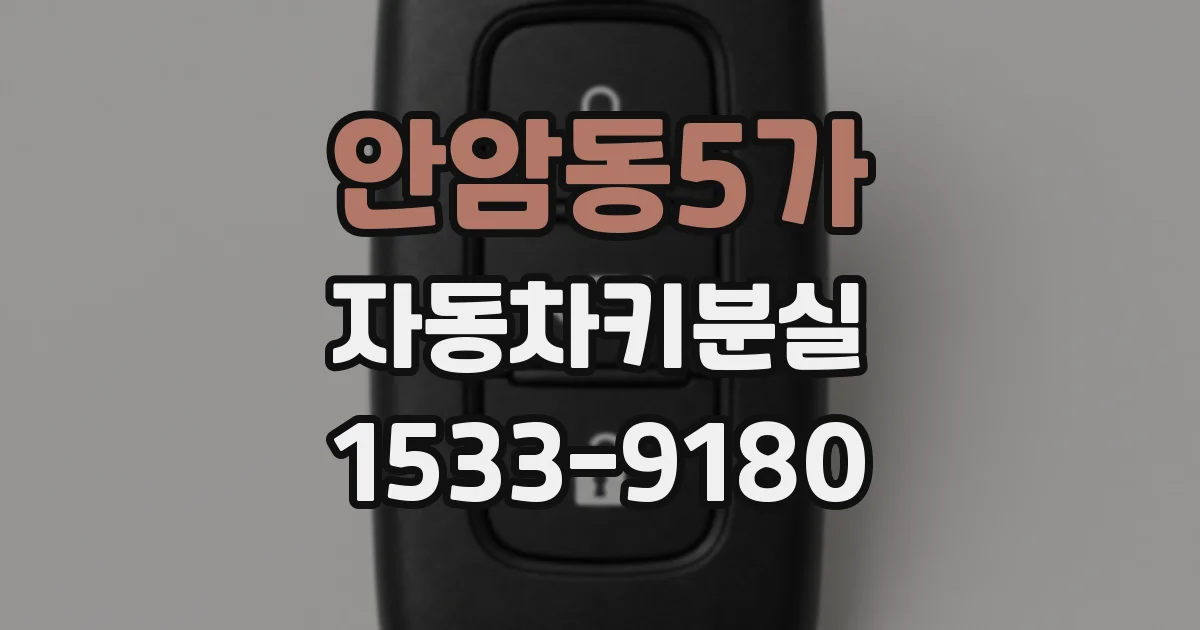 안암동5가 자동차키분실