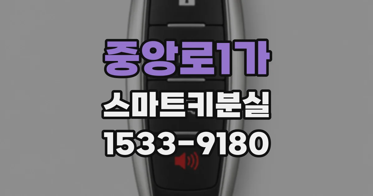 중앙로1가 스마트키분실