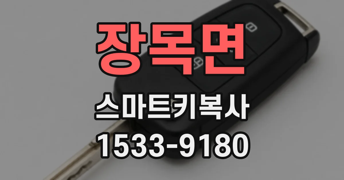 장목면 스마트키복사