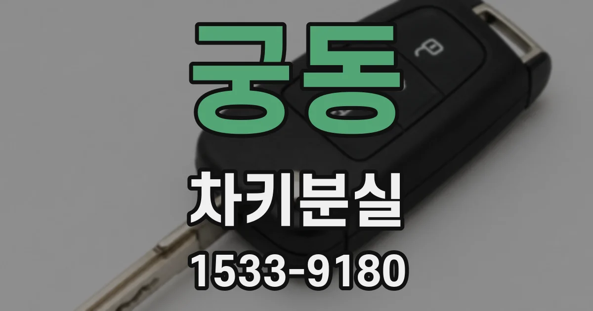 궁동 차키분실