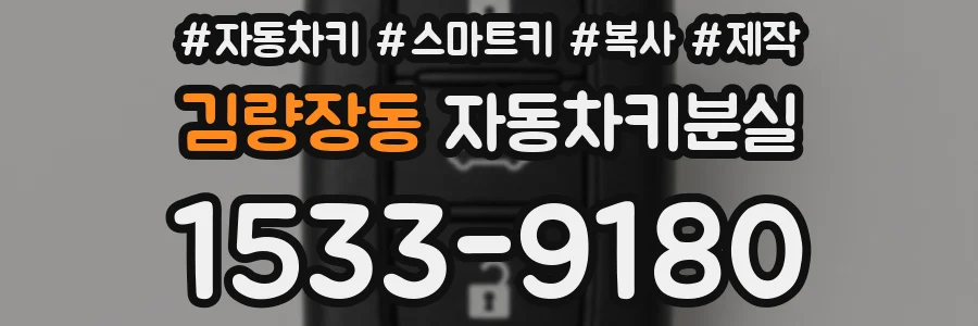 김량장동 자동차키분실
