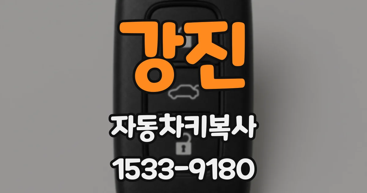 강진 자동차키복사