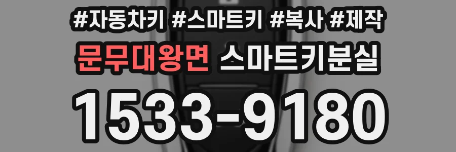 문무대왕면 스마트키분실