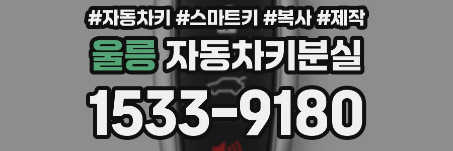 울릉 자동차키분실