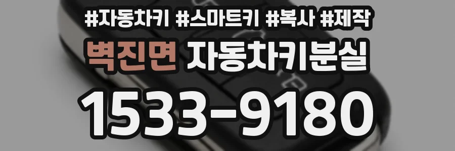 벽진면 자동차키분실