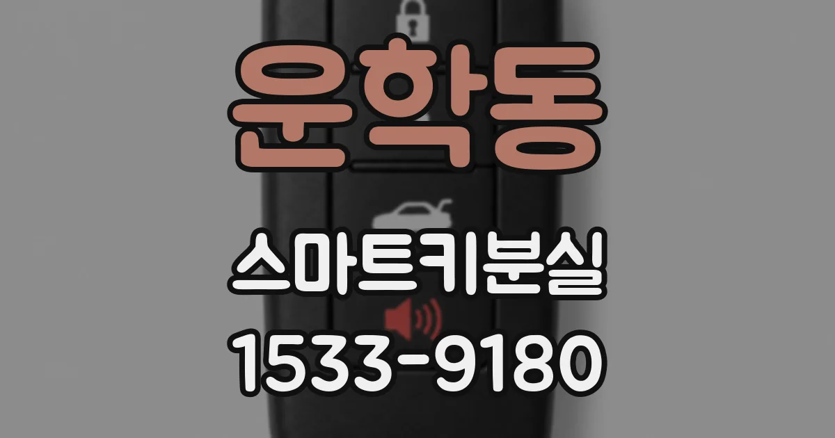 운학동 스마트키분실