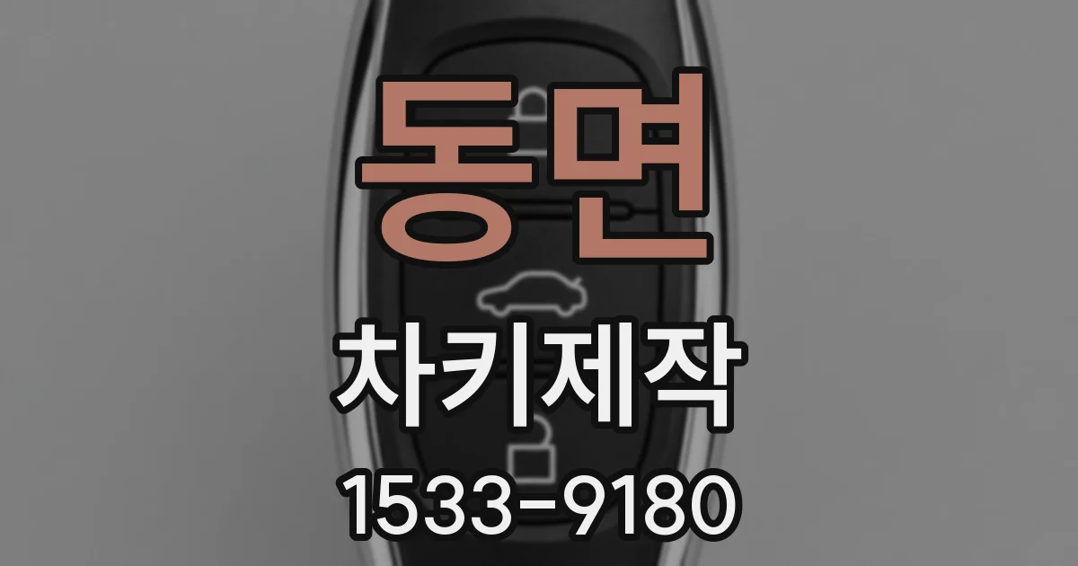 동면 차키제작