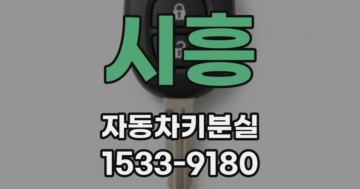 시흥 자동차키분실