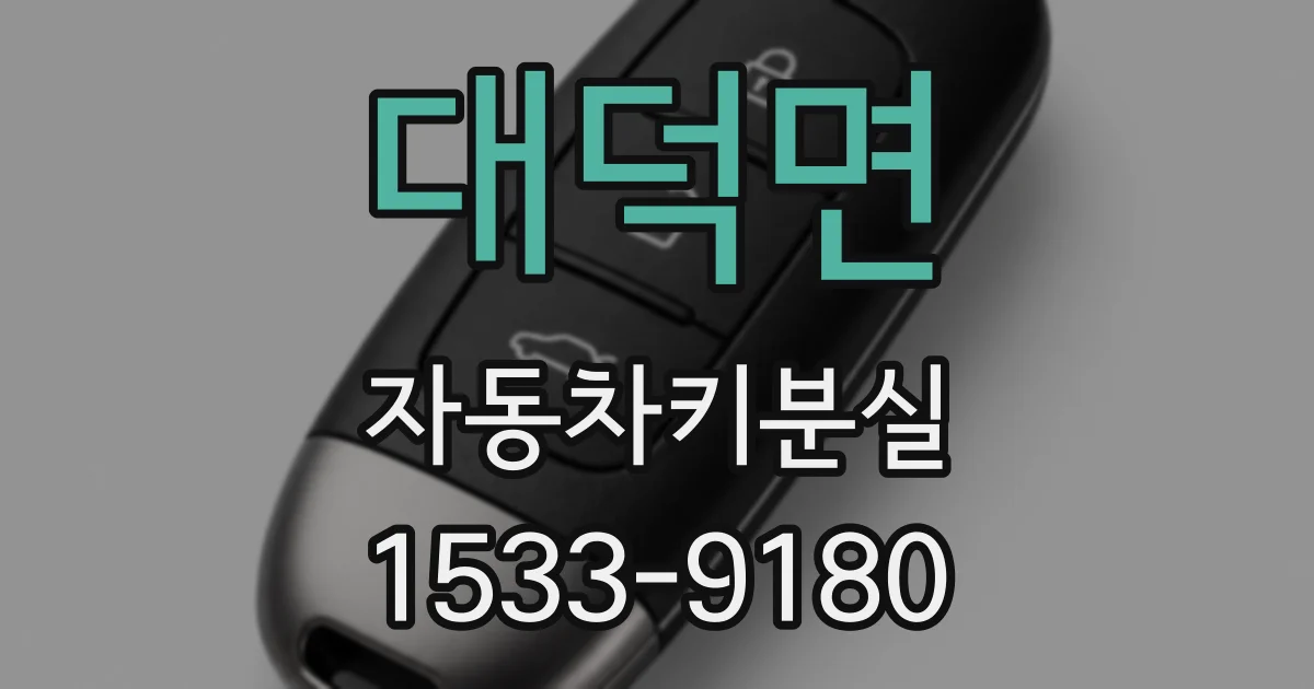 대덕면 자동차키분실