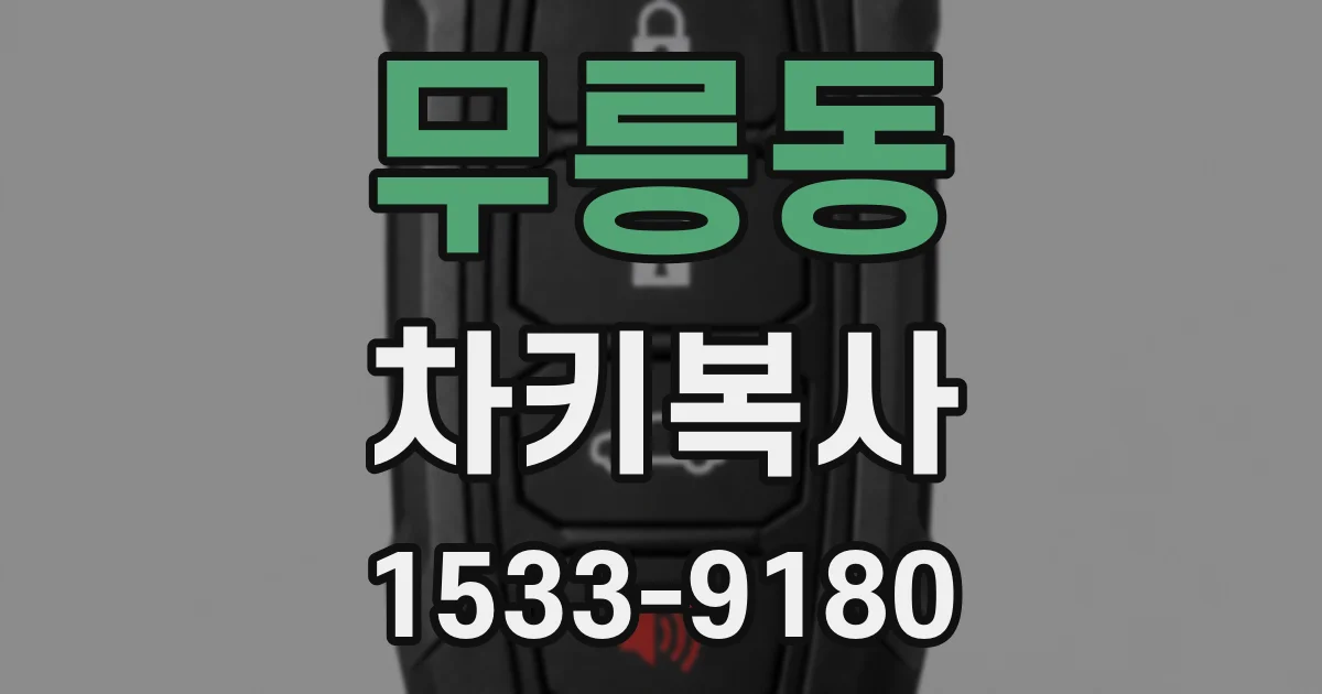 무릉동 차키복사