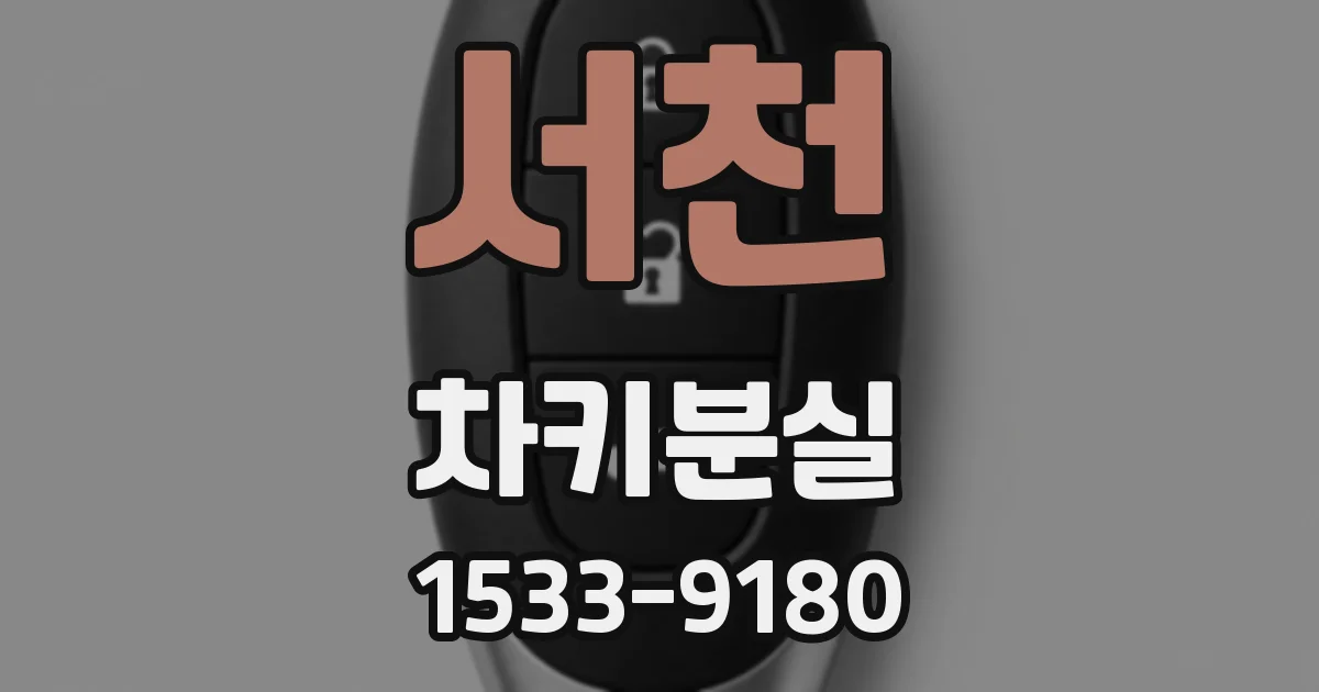 서천 차키분실