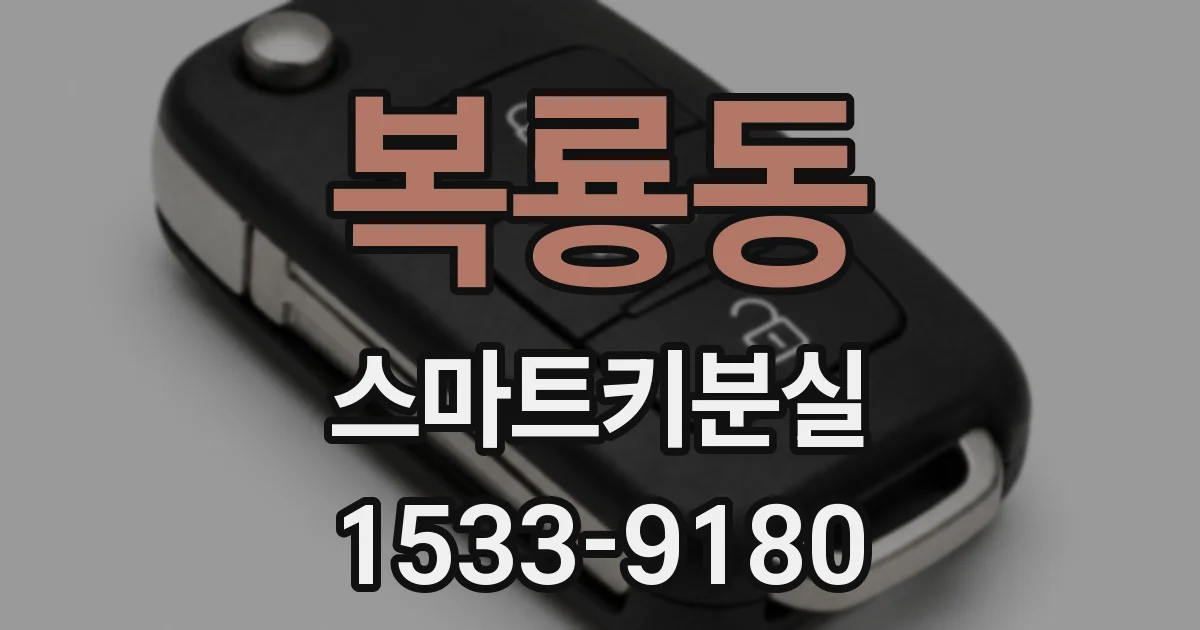 복룡동 스마트키분실