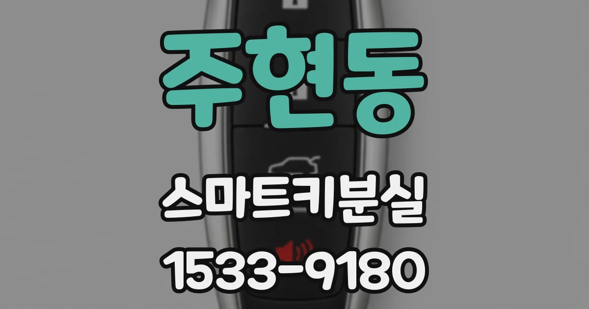 주현동 스마트키분실
