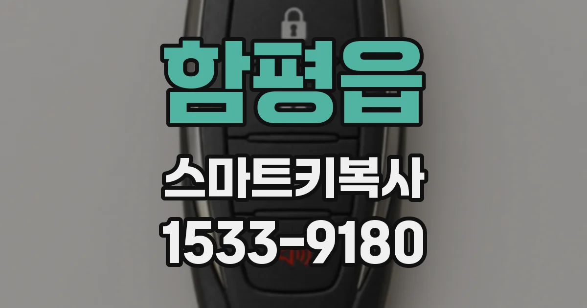 함평읍 스마트키복사