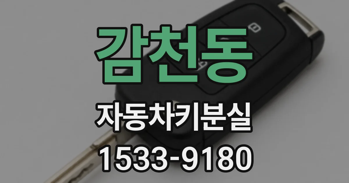 감천동 자동차키분실