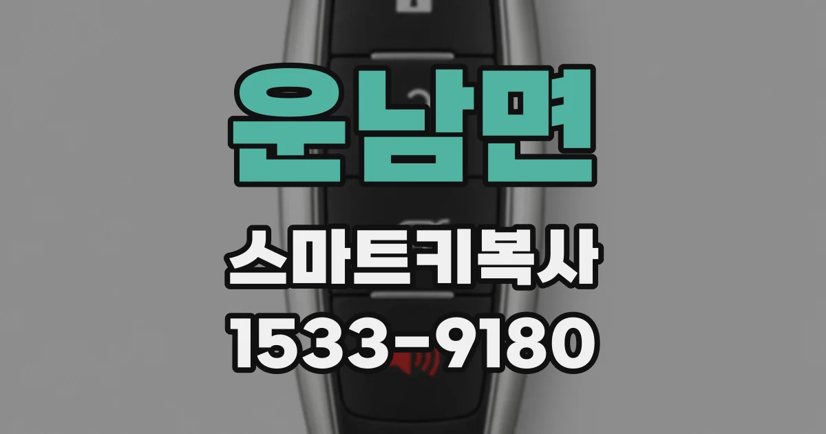 운남면 스마트키복사