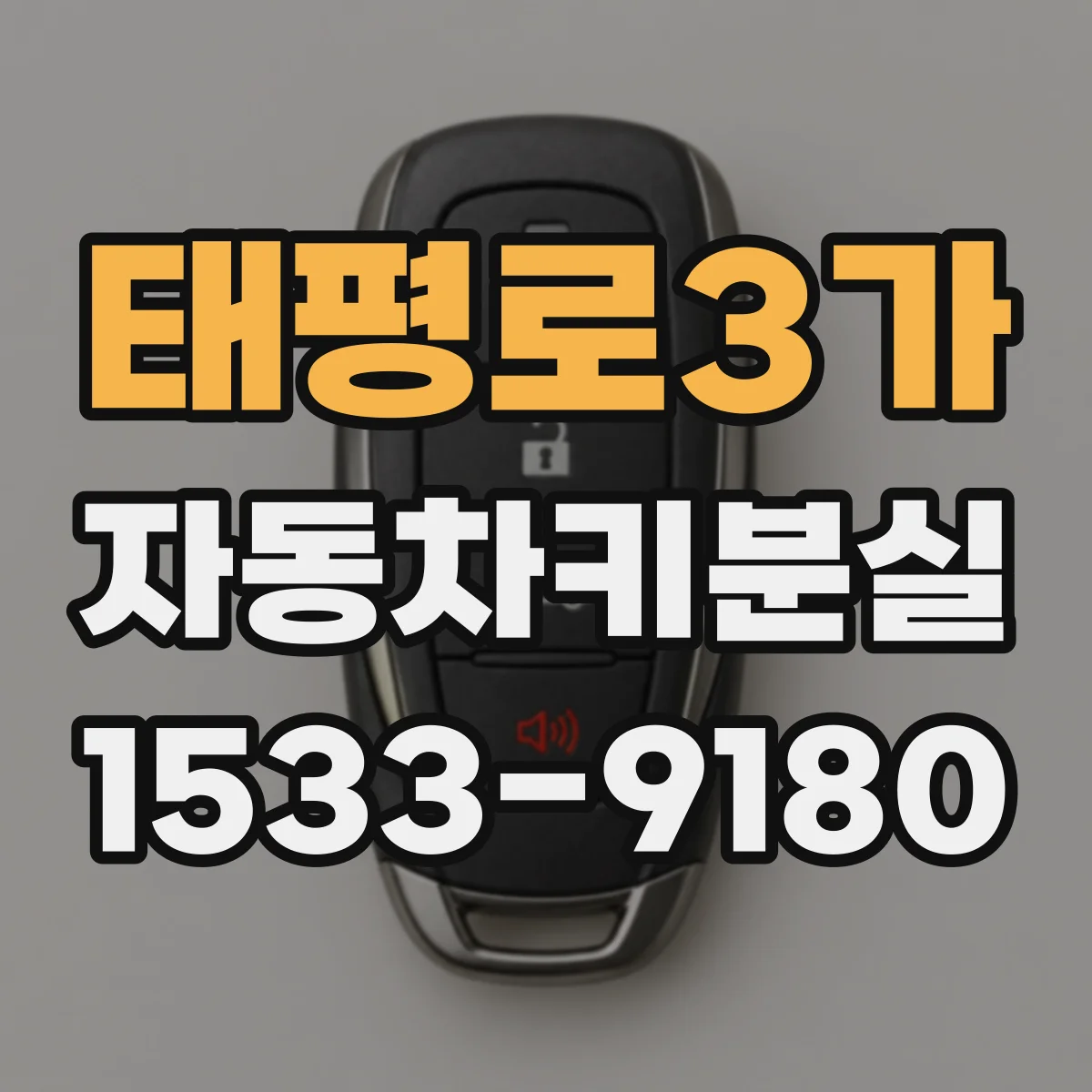 태평로3가 자동차키분실
