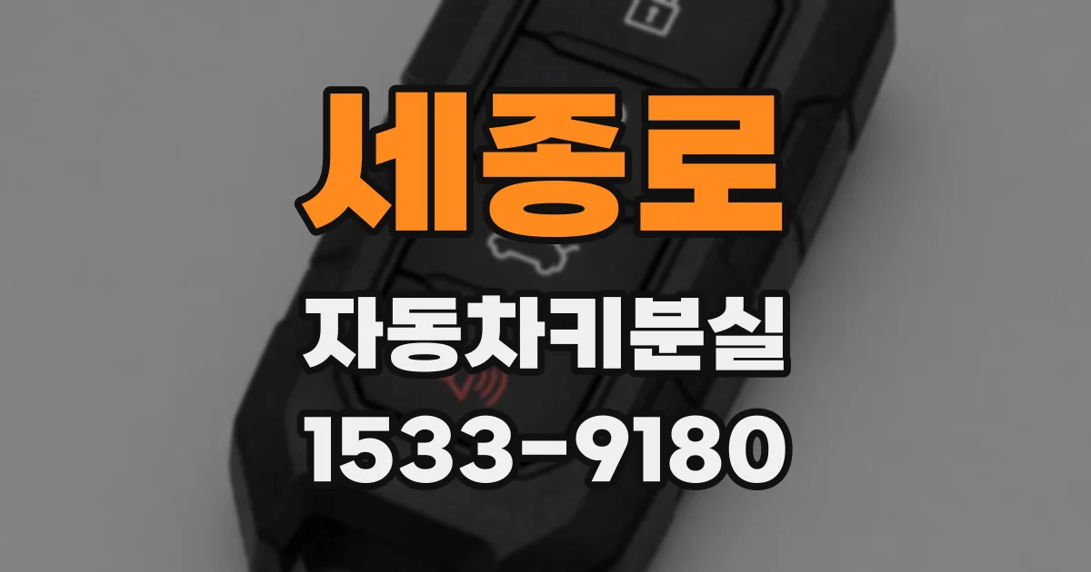 세종로 자동차키분실