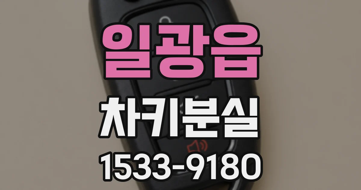 일광읍 차키분실