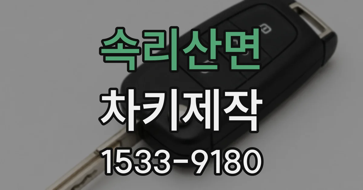 속리산면 차키제작