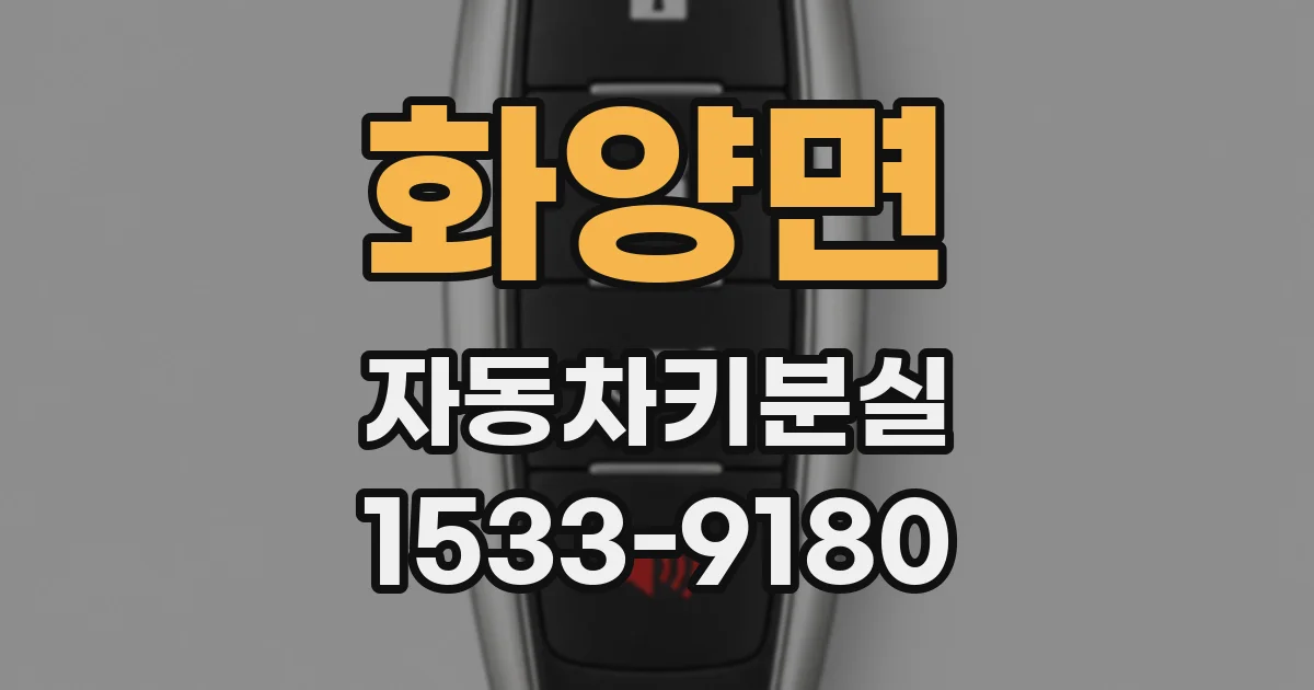 화양면 자동차키분실