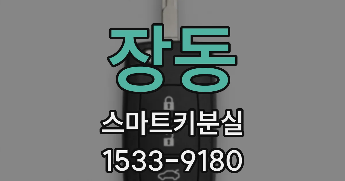 장동 스마트키분실