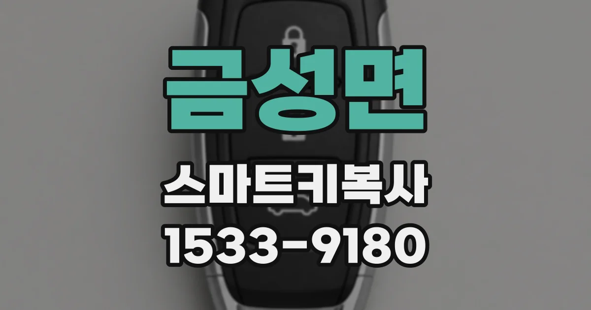 금성면 스마트키복사