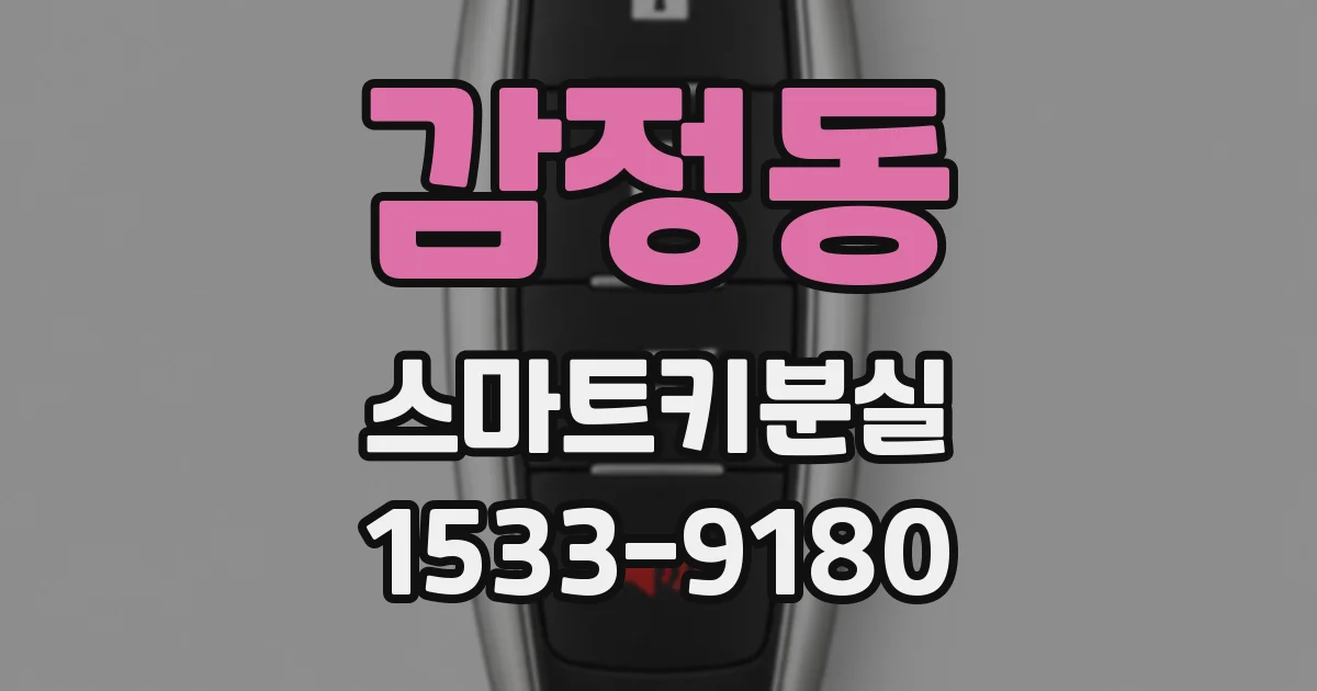 감정동 스마트키분실