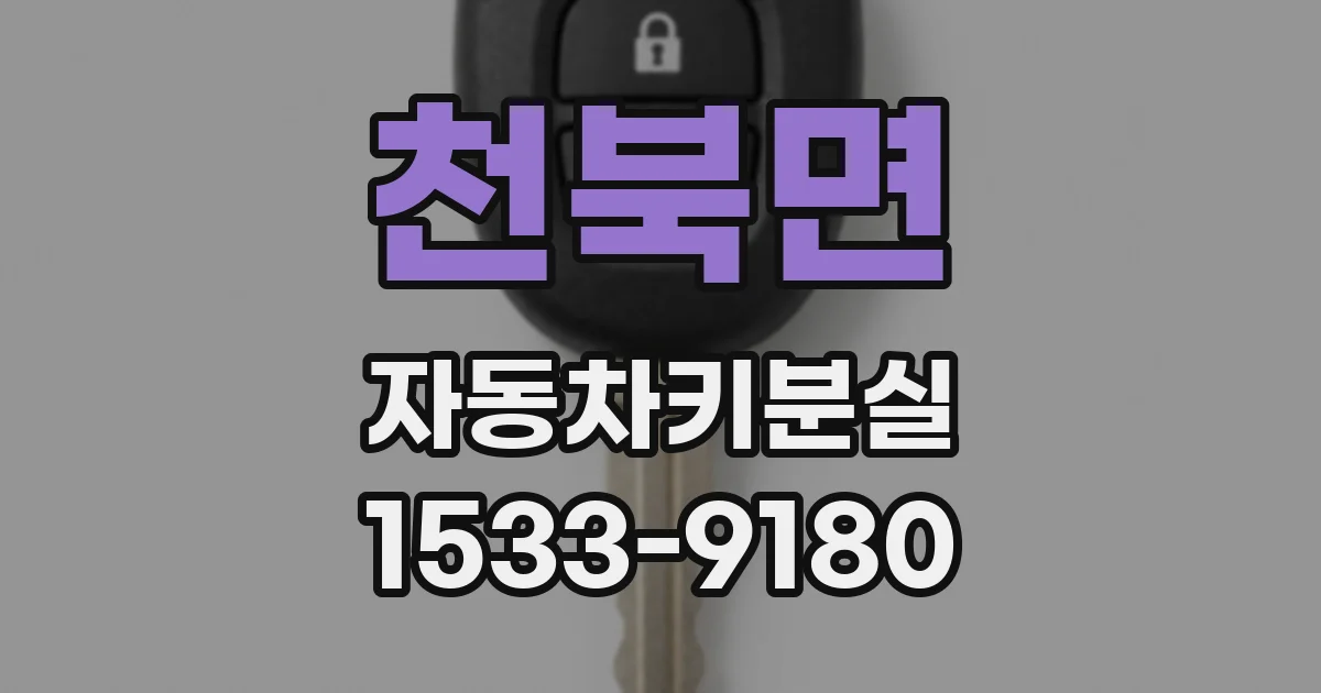 천북면 자동차키분실