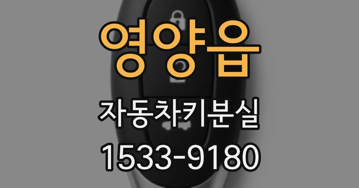 영양읍 자동차키분실