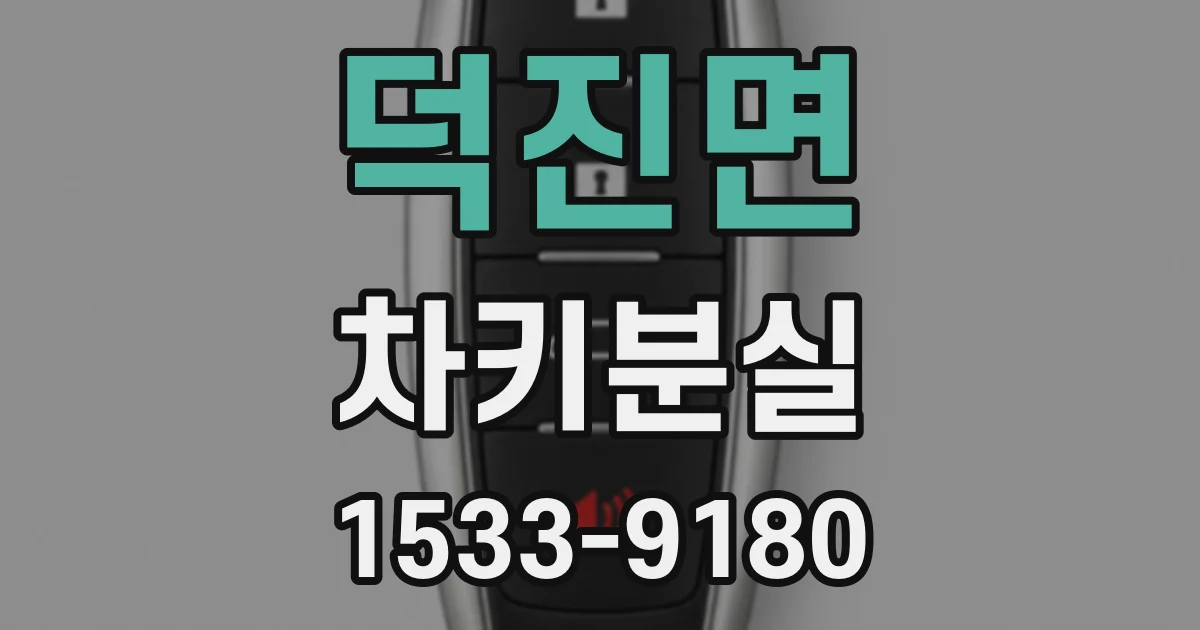 덕진면 차키분실