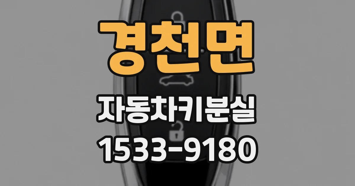 경천면 자동차키분실