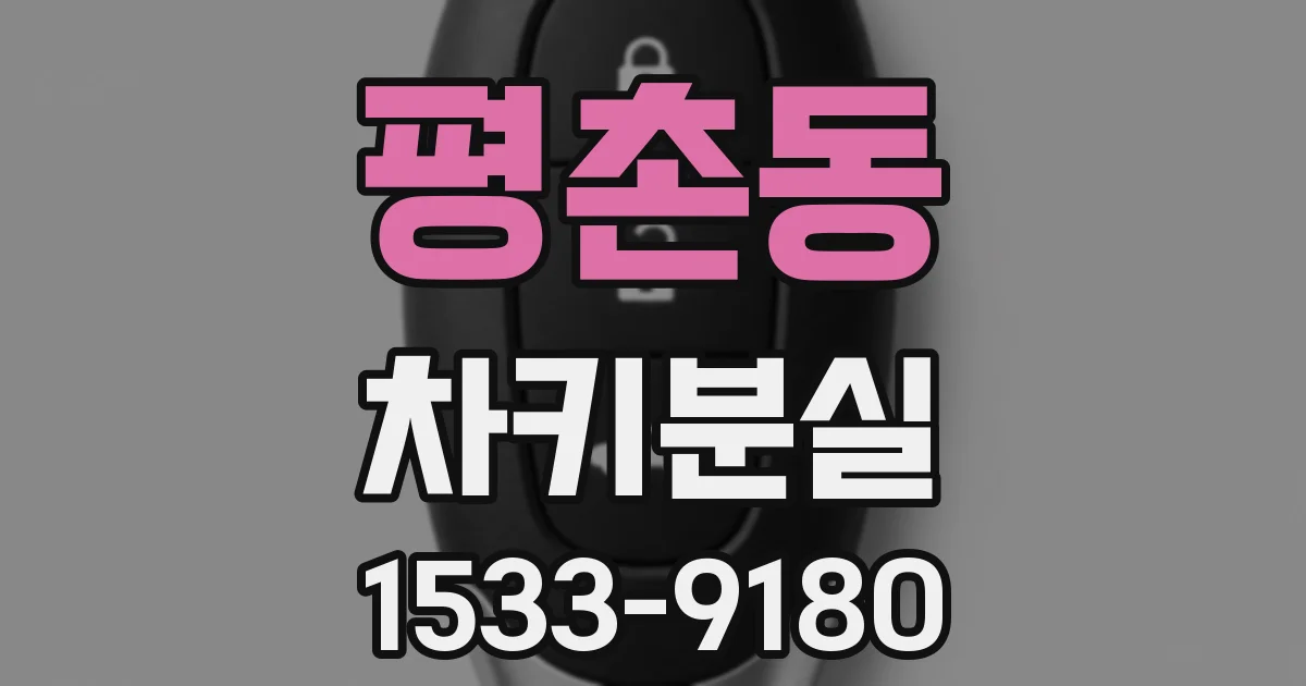 평촌동 차키분실