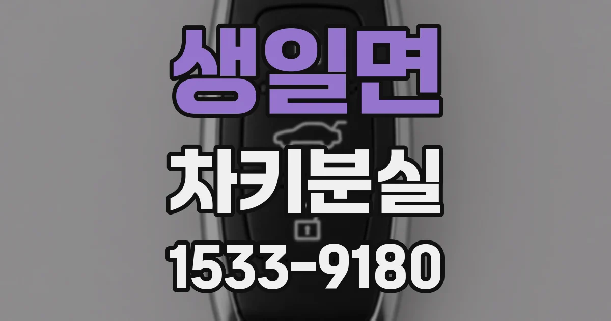 생일면 차키분실