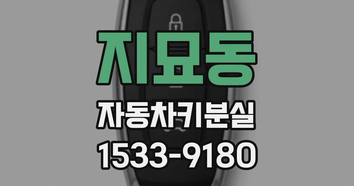 지묘동 자동차키분실