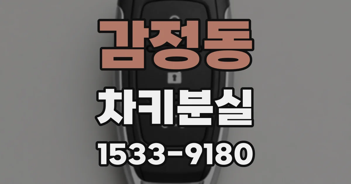 감정동 차키분실