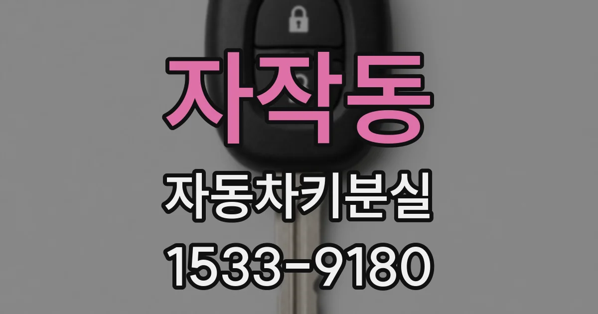 자작동 자동차키분실