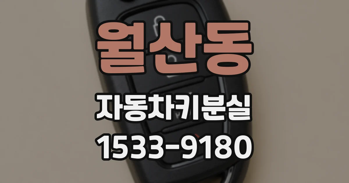 월산동 자동차키분실