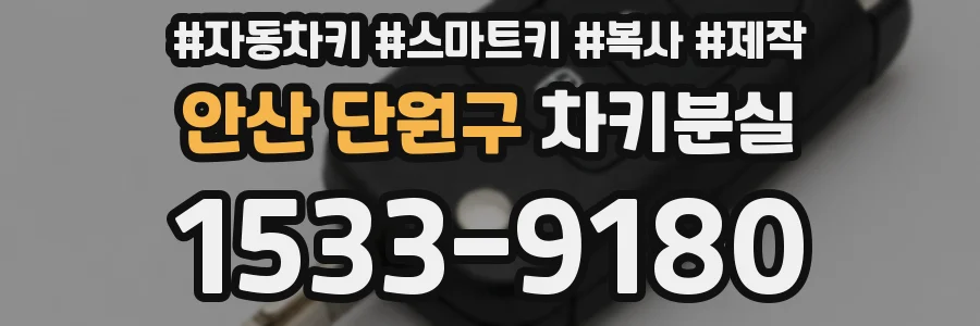 안산 단원구 차키분실