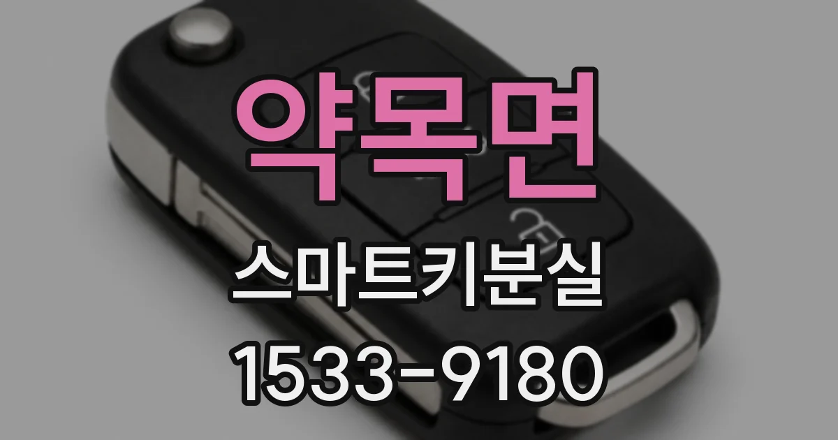 약목면 스마트키분실