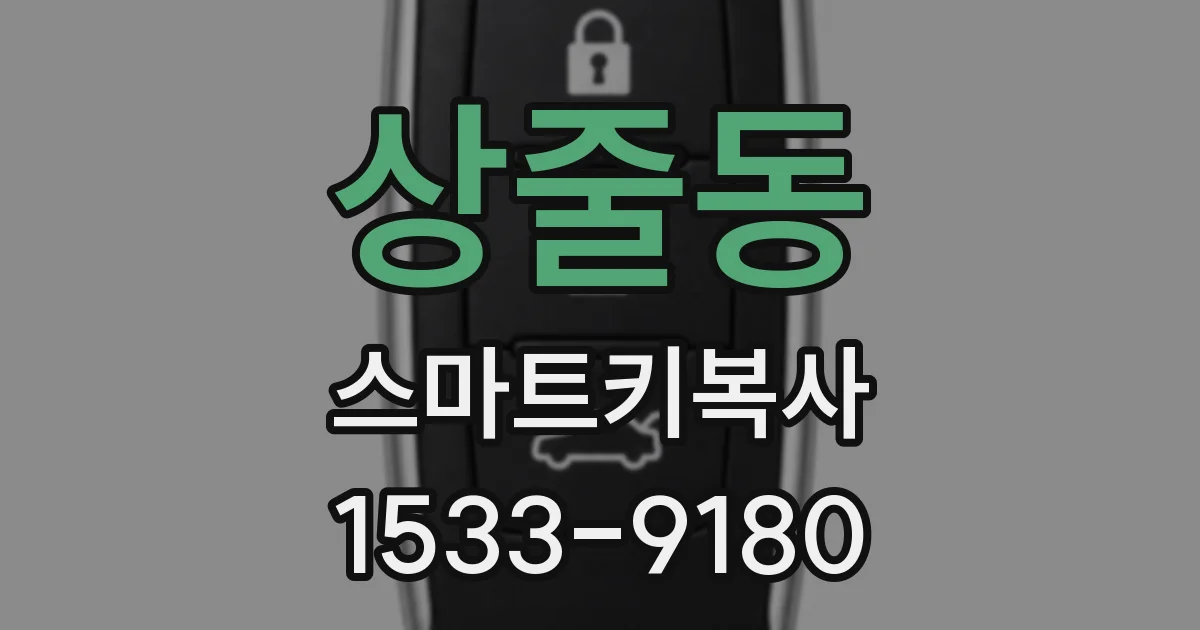 상줄동 스마트키복사