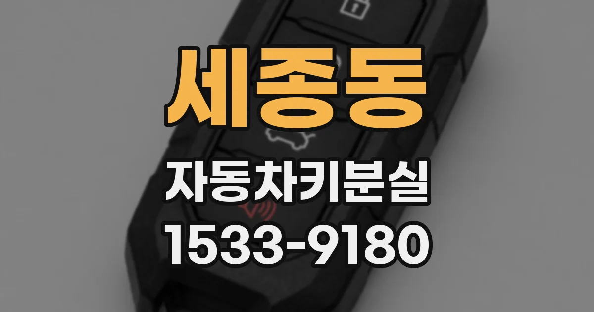 세종동 자동차키분실