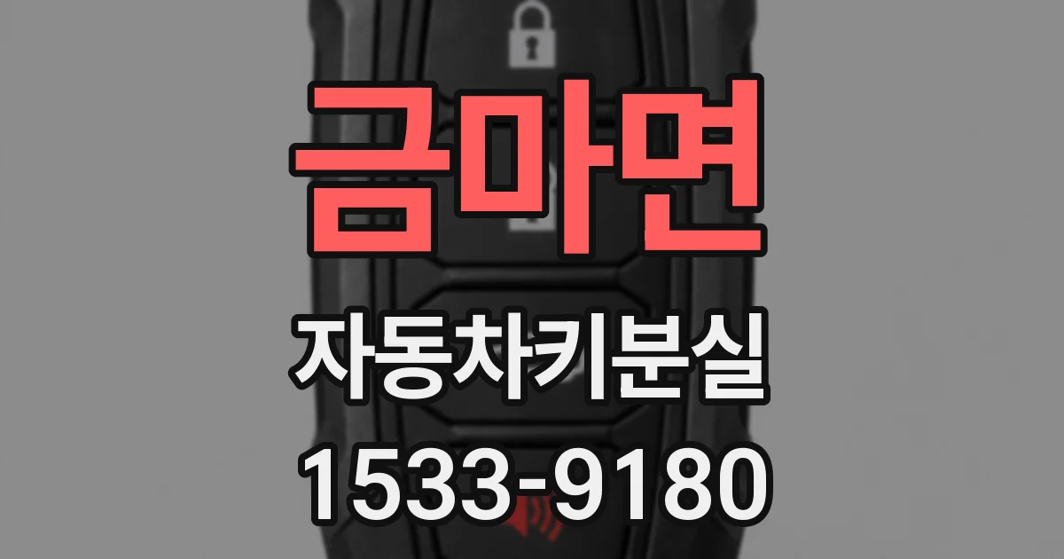 금마면 자동차키분실