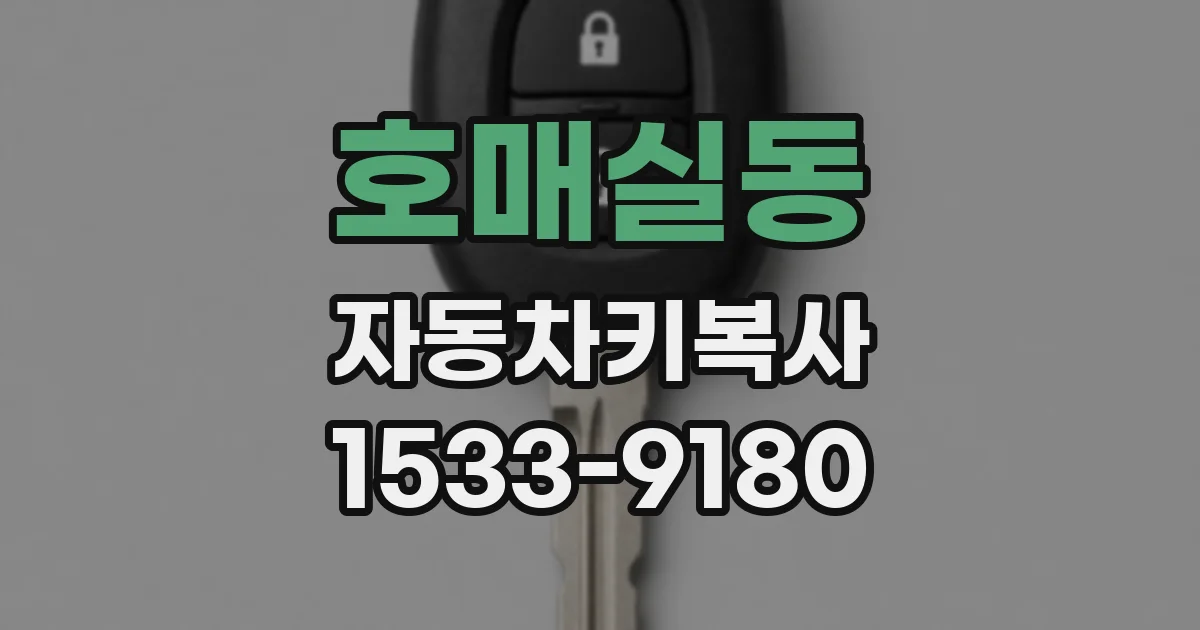 호매실동 자동차키복사