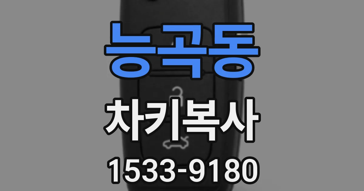 능곡동 차키복사