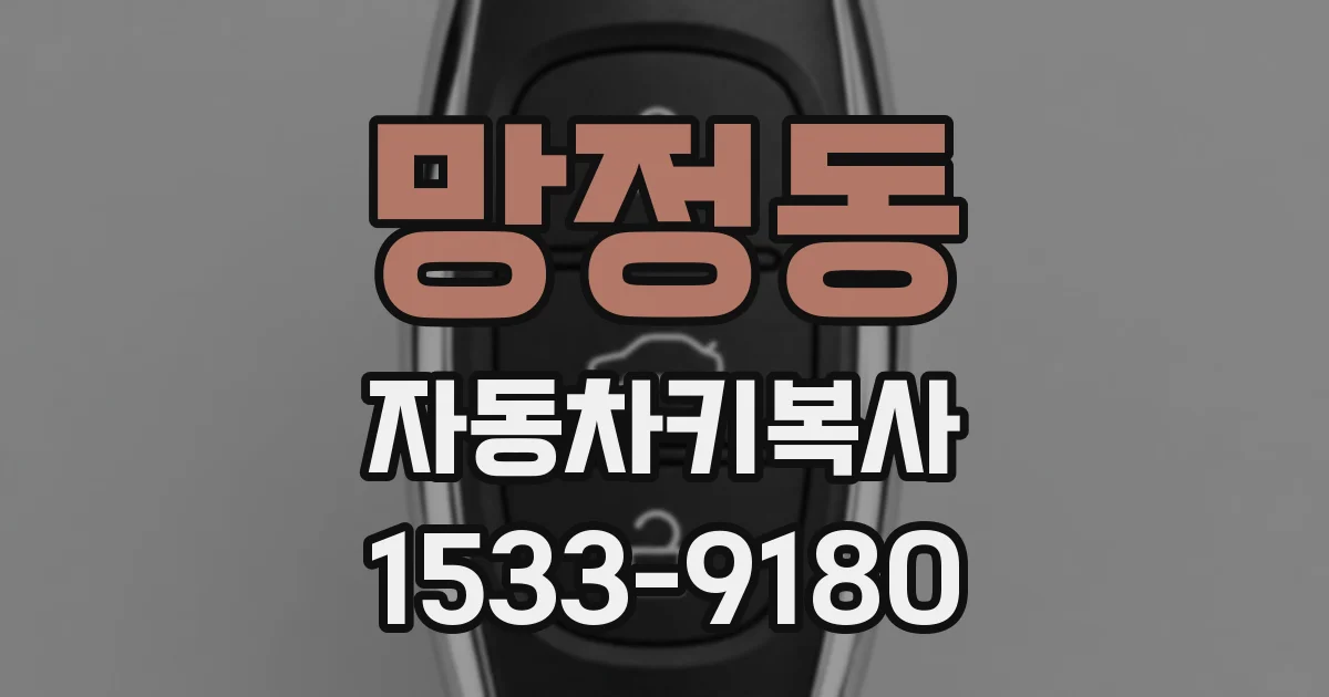 망정동 자동차키복사