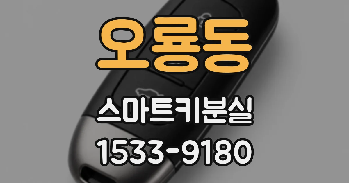 오룡동 스마트키분실