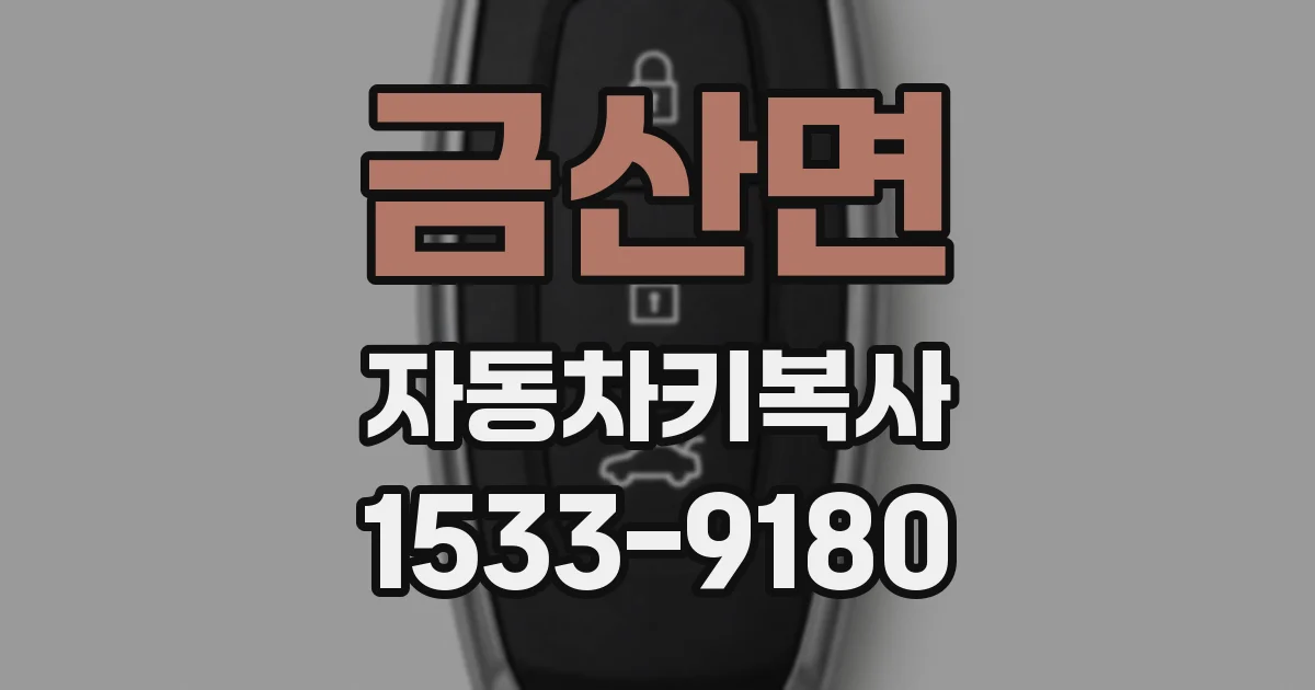 금산면 자동차키복사