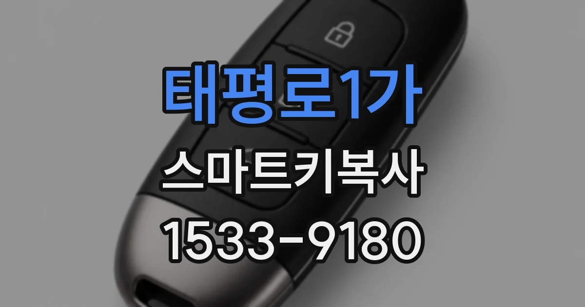 태평로1가 스마트키복사