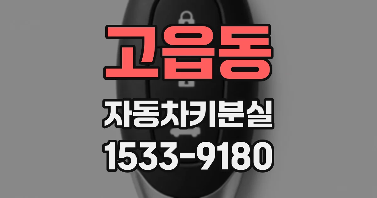 고읍동 자동차키분실